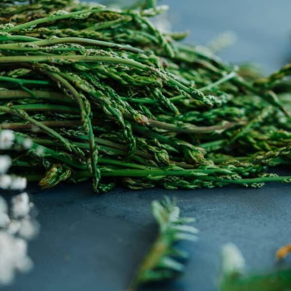 a bunch of raw wild asparagus on a black stone surface slightly lighted